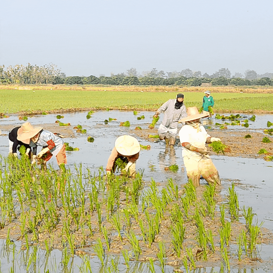 Sustainable Sourcing